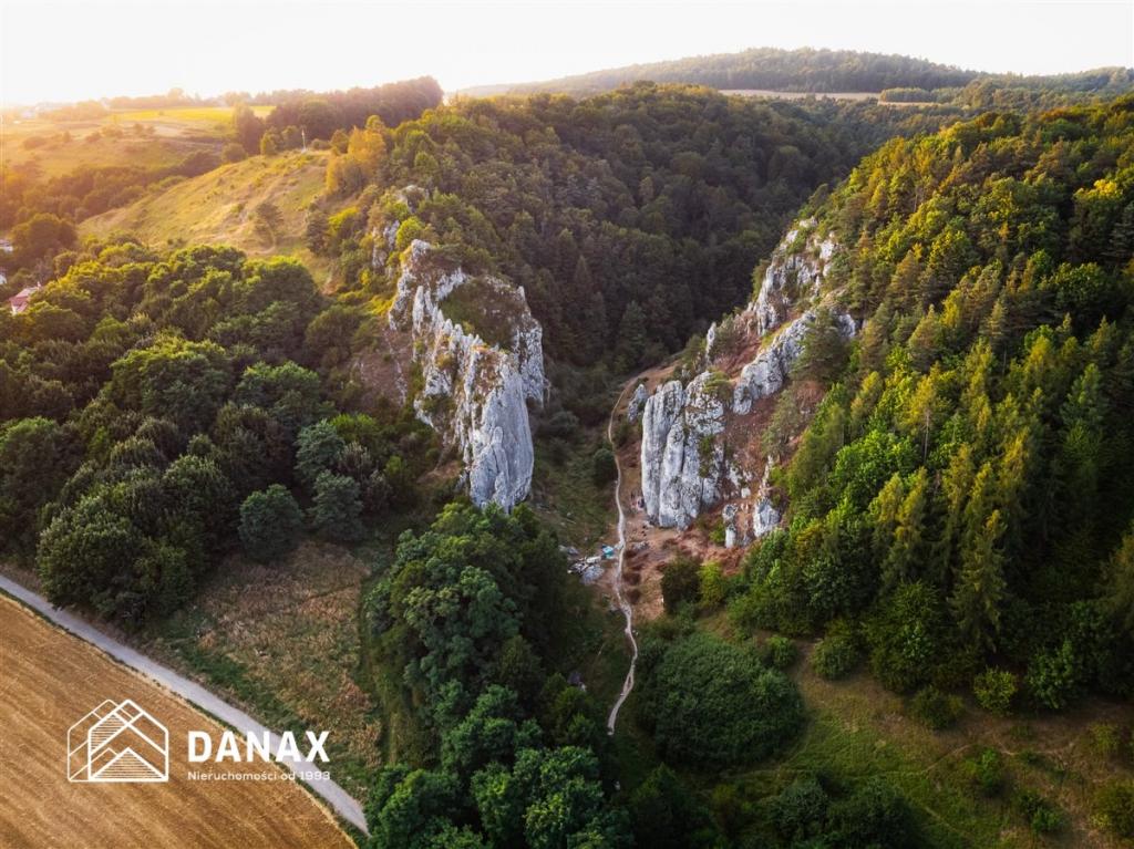 Działka budowlana 3000&nbsp;m², Zelków - zdjęcie 18