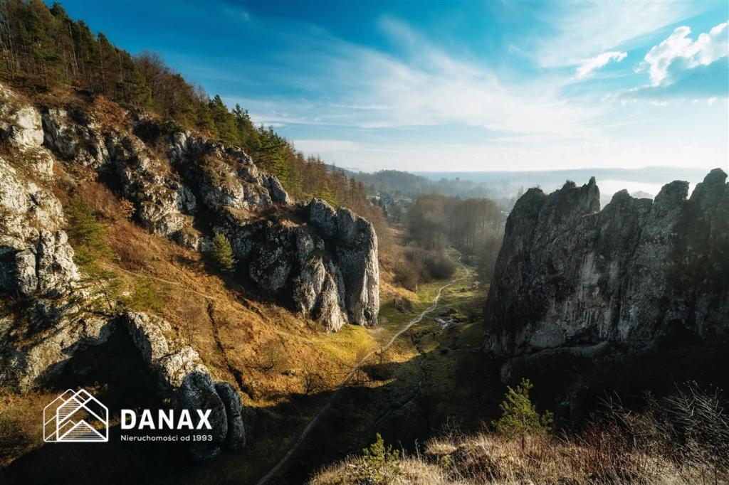 Działka budowlana 3000&nbsp;m², Zelków - zdjęcie 17