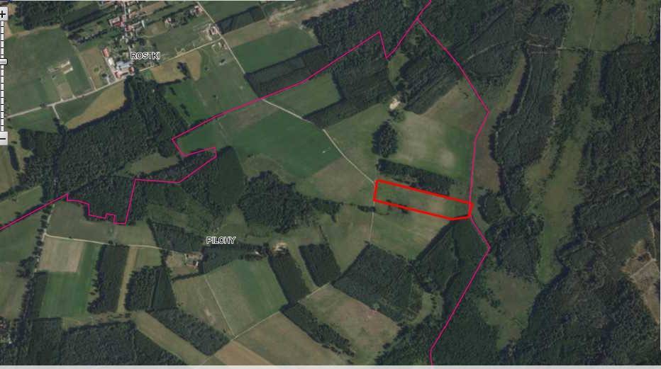 Działka rolna 2,50 ha, Pilchy - zdjęcie 2