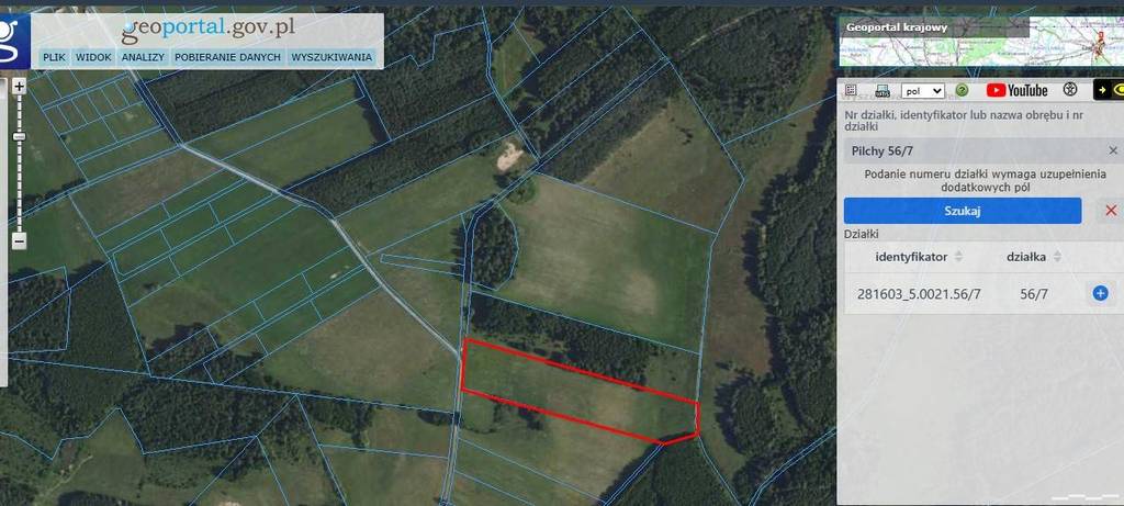 Działka rolna 2,50 ha, Pilchy - zdjęcie 1