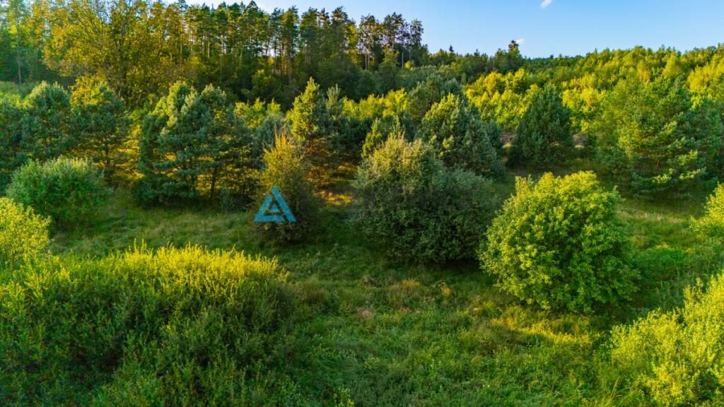 Działka z WZ na dom całoroczny nad Słupią! - zdjęcie 4