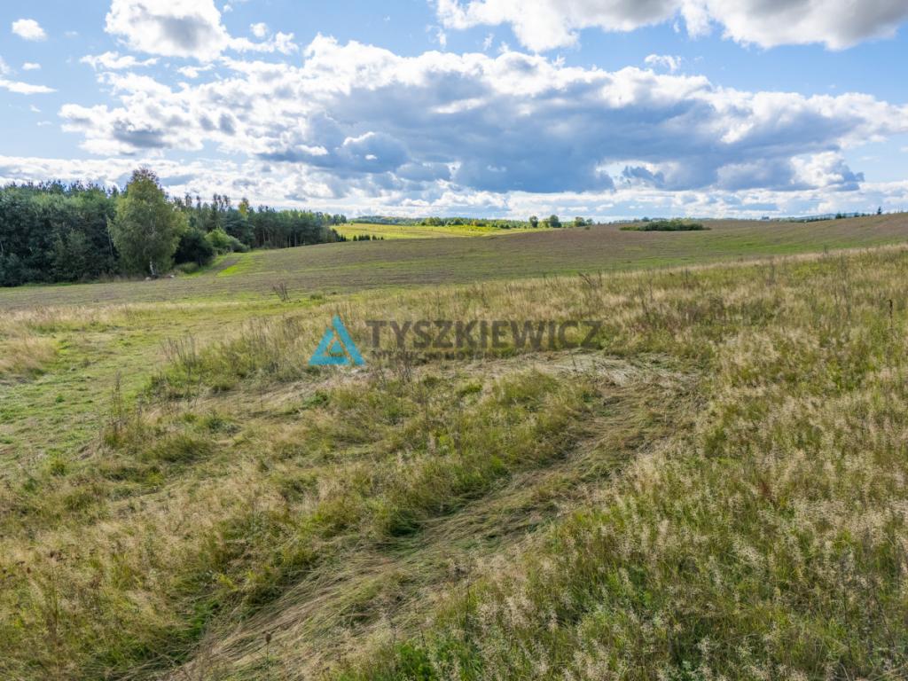 Działka budowlana z MPZP| Roztoka - zdjęcie 12