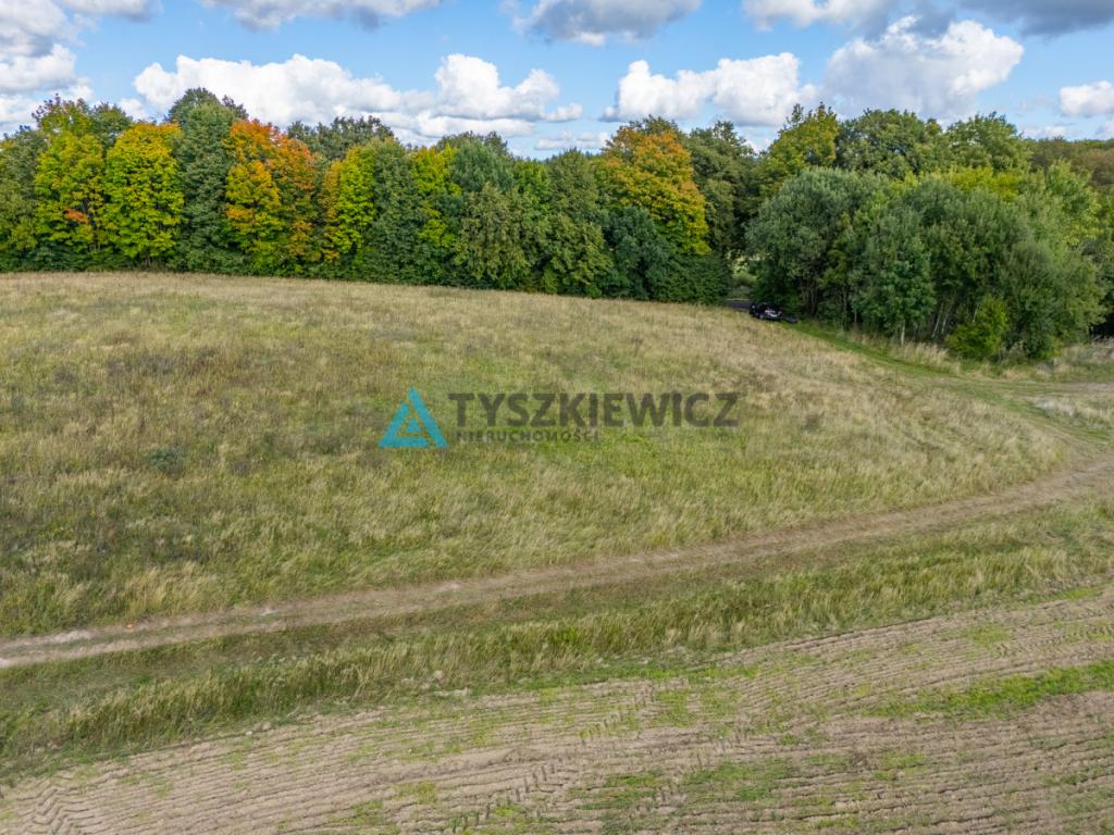 Działka budowlana z MPZP| Roztoka - zdjęcie 10