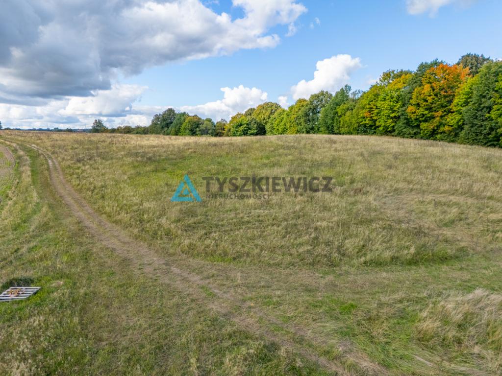 Działka budowlana z MPZP| Roztoka - zdjęcie 11