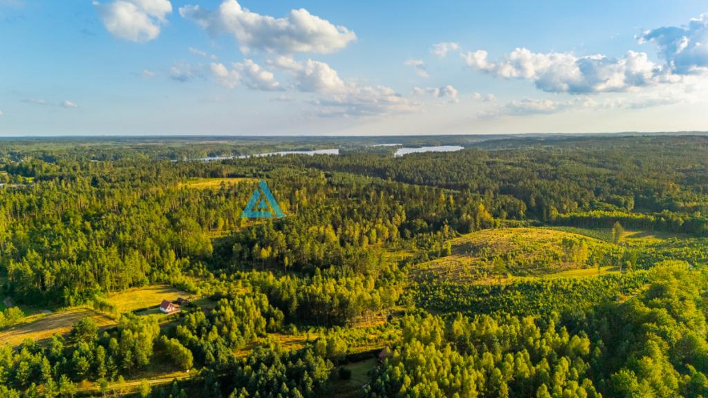 Działka z WZ na dom całoroczny nad Słupią, 85 arów - zdjęcie 4