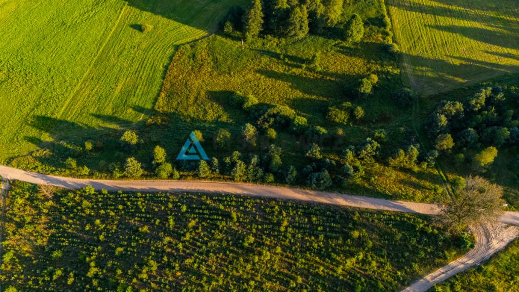 Działka z WZ na dom całoroczny nad Słupią, 85 arów - zdjęcie 7