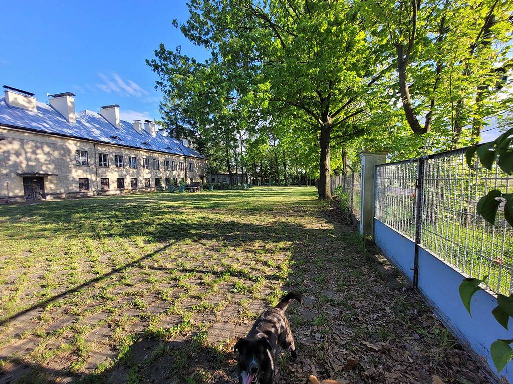 Lokal usługowy na sprzedaż, 5600 m², Wypychów - zdjęcie 4
