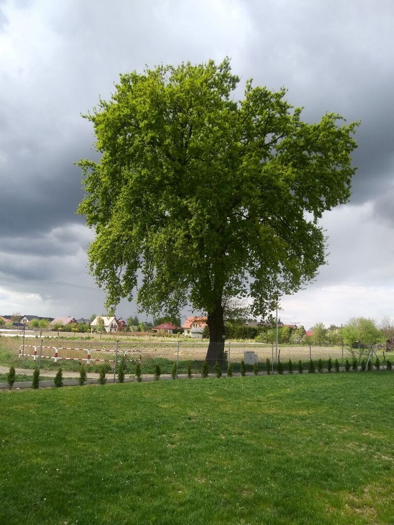 Działka budowlana 900&nbsp;m², Bielawa - zdjęcie 3