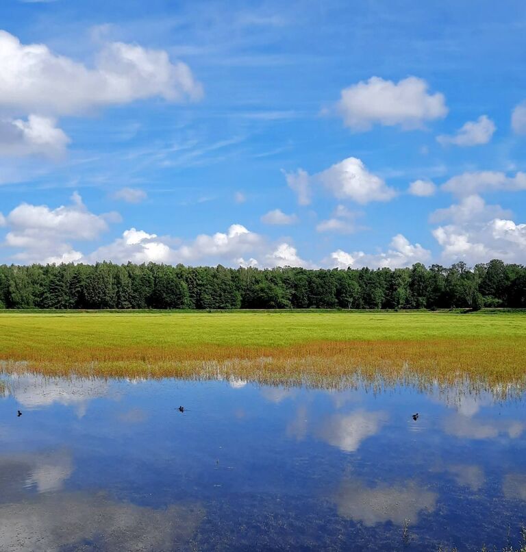 Działka budowlana 900&nbsp;m², Bielawa - zdjęcie 4