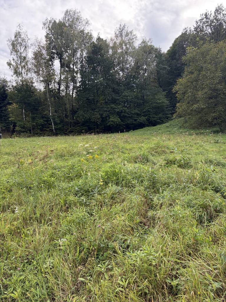 Działka budowlana 2510&nbsp;m², Skrzyszów - zdjęcie 1