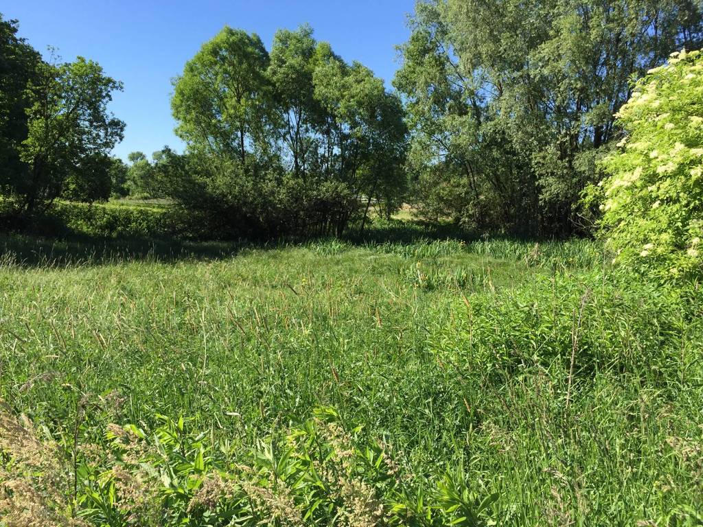 Działka budowlana 2510&nbsp;m², Skrzyszów - zdjęcie 10