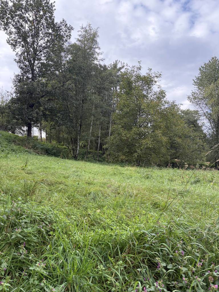 Działka budowlana 2510&nbsp;m², Skrzyszów - zdjęcie 8