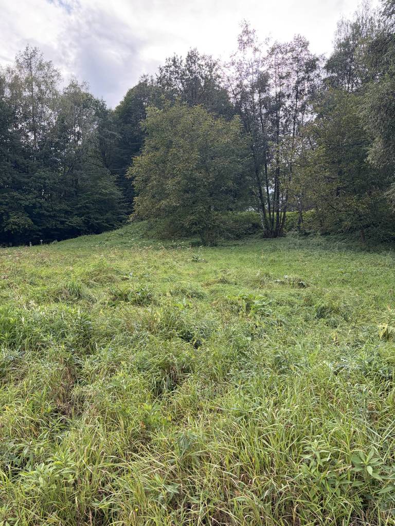 Działka budowlana 2510&nbsp;m², Skrzyszów - zdjęcie 6