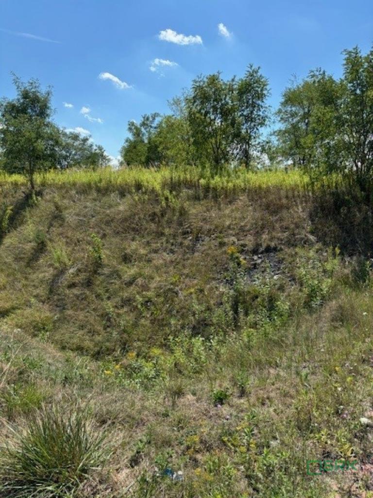 Działka inwestycyjna 5195&nbsp;m², Ruda Śląska, Bielszowicka - zdjęcie 2