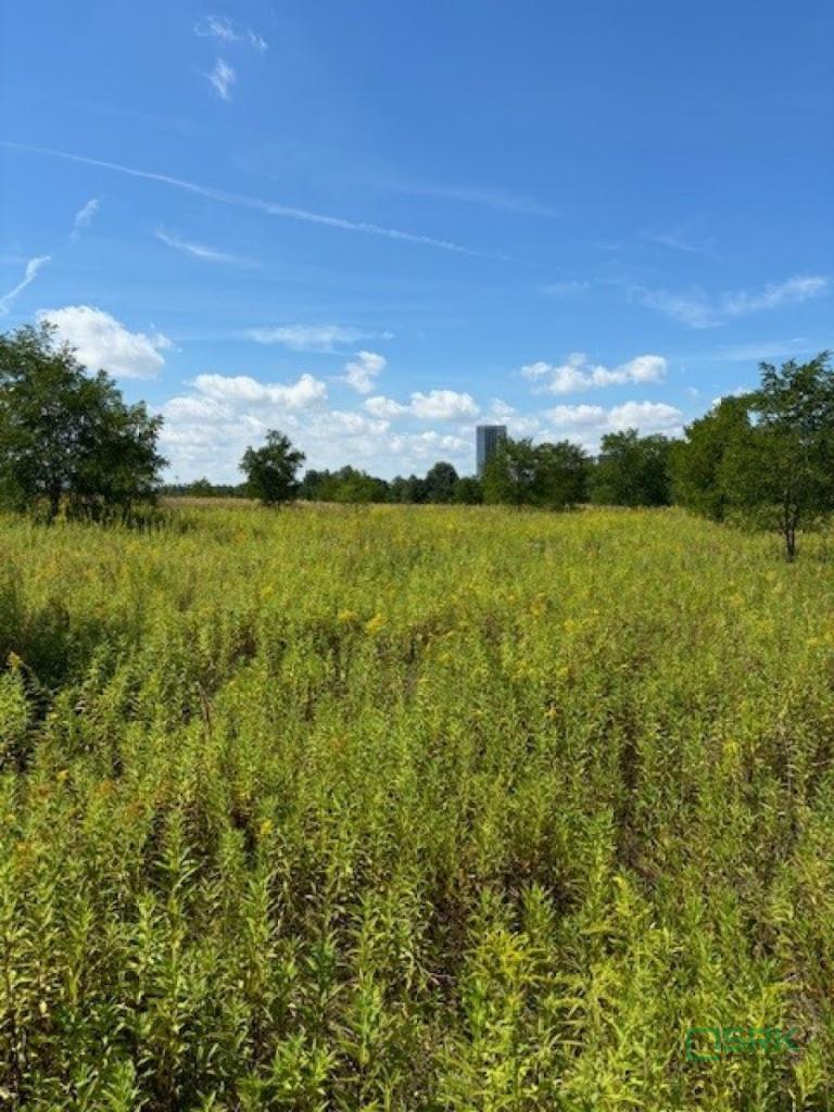 Działka inwestycyjna 520&nbsp;m², Ruda Śląska, Bielszowicka - zdjęcie 2