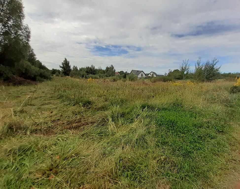 Działka budowlana 2613 m², Glincz, Cedrowa - zdjęcie 5