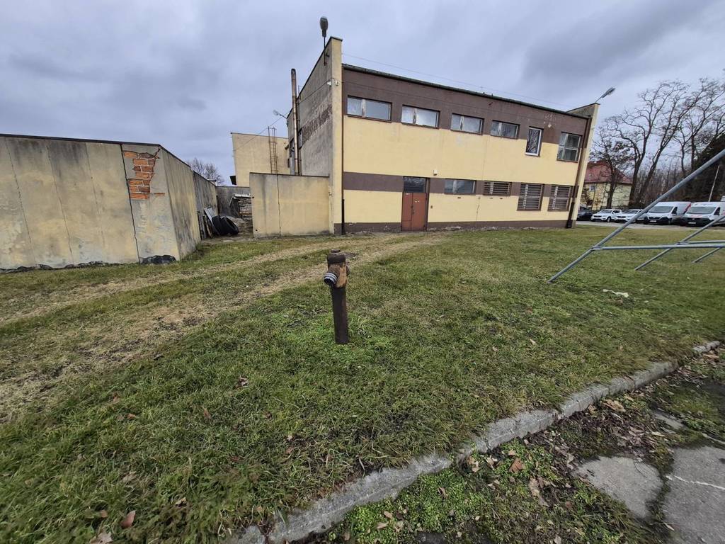 Magazyn na sprzedaż, 10007 m², Głubczyce, Stroma - zdjęcie 3
