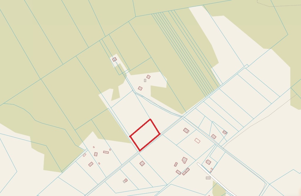 Działka budowlana 3765 m², Piasutno Żelazne - zdjęcie 5