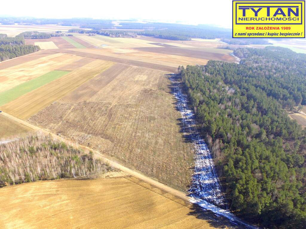 Działka budowlana 10,74 ha, Gołasze-Dąb - zdjęcie 7