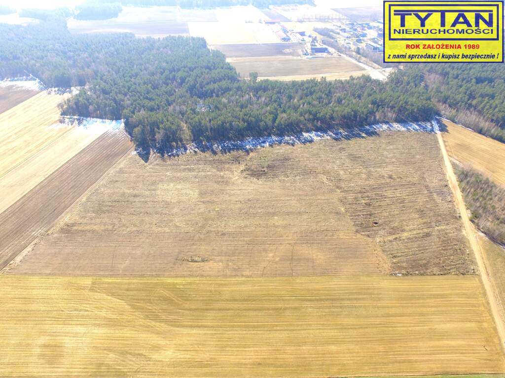 Działka budowlana 10,74 ha, Gołasze-Dąb - zdjęcie 3