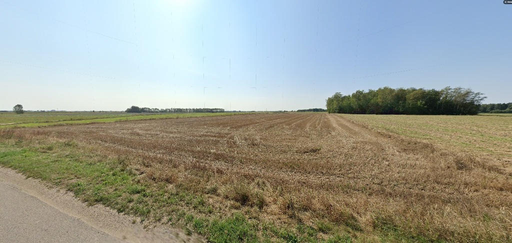 Działka budowlana 1,99&nbsp;ha, Nowe Zakrzewo - zdjęcie 8