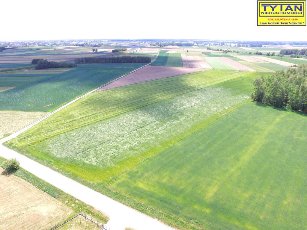 Działka budowlana 1,99&nbsp;ha, Nowe Zakrzewo - zdjęcie 5