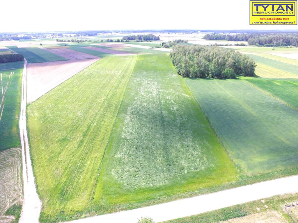 Działka budowlana 1,99&nbsp;ha, Nowe Zakrzewo - zdjęcie 3