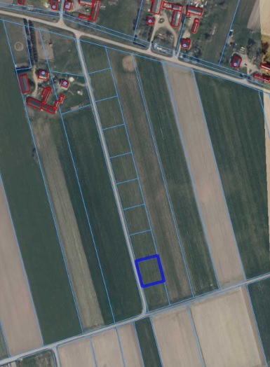 Działka budowlana 1318 m², Czerwone - zdjęcie 8