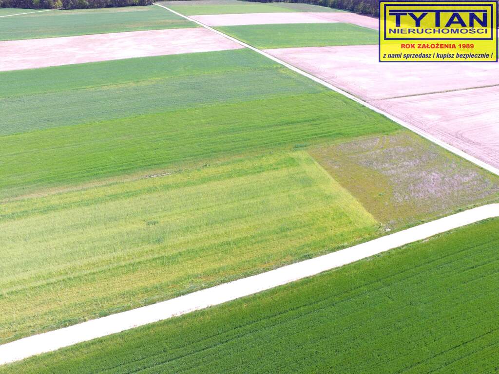 Działka budowlana 1318 m², Czerwone - zdjęcie 7