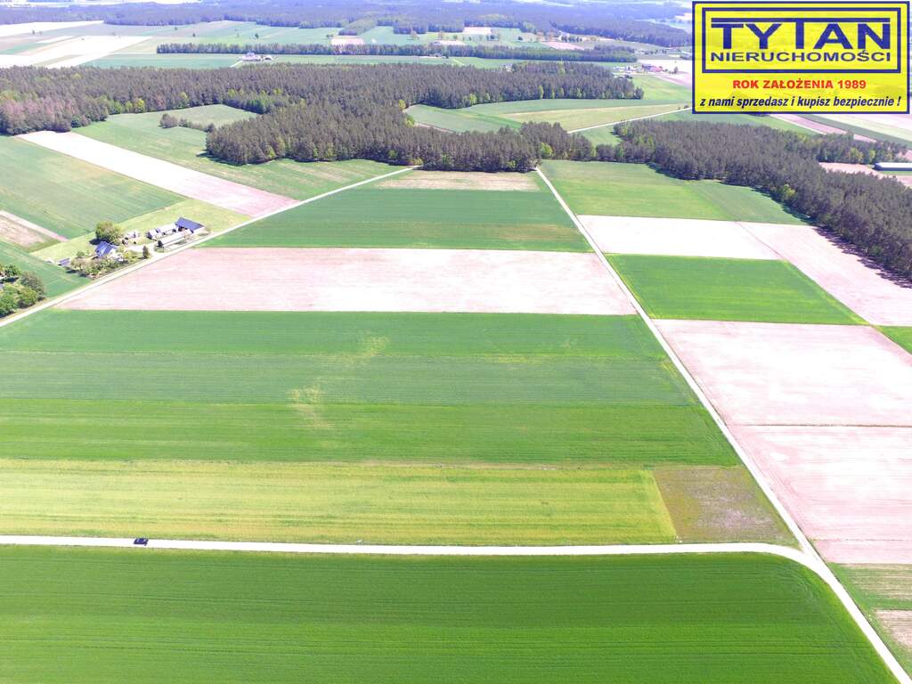 Działka budowlana 1318 m², Czerwone - zdjęcie 5