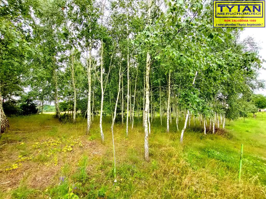 Działka budowlana 981 m², Giełczyn, Górzysta - zdjęcie 14