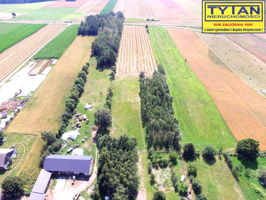 Działka budowlana 981 m², Giełczyn, Górzysta - zdjęcie 7