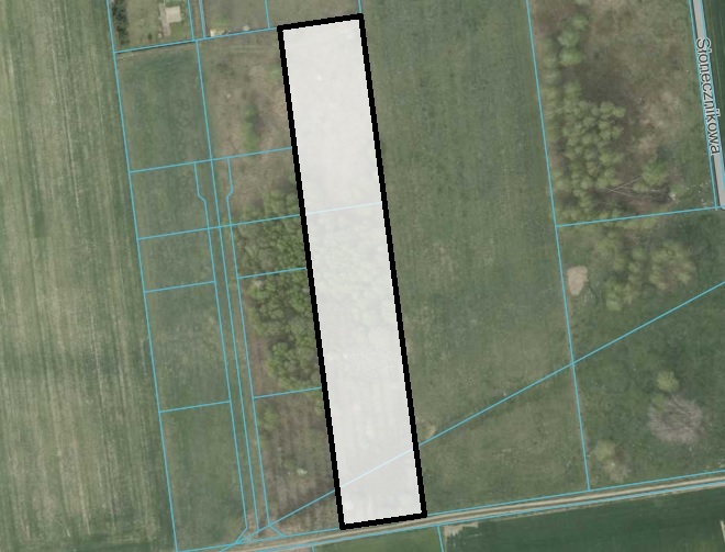 Działka budowlana 5341 m², Zawady, Konarska - zdjęcie 9