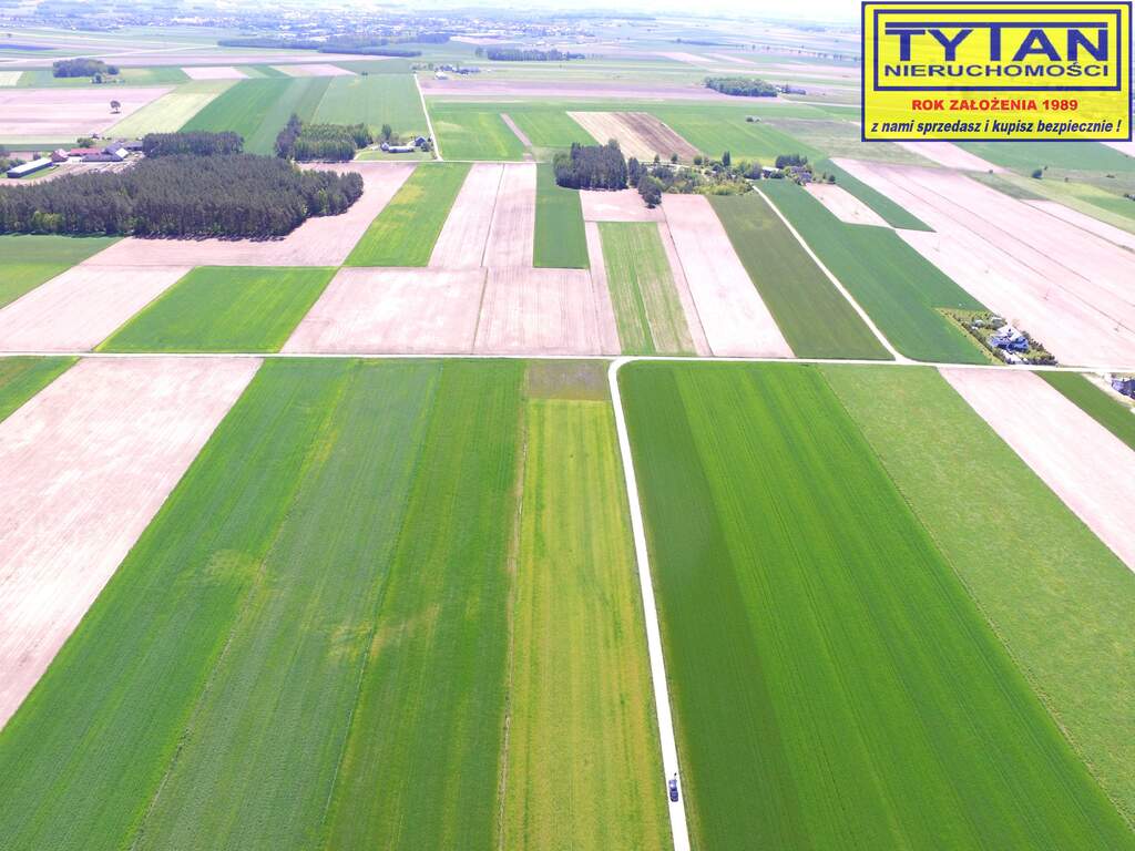 Działka budowlana 1327&nbsp;m², Czerwone - zdjęcie 6