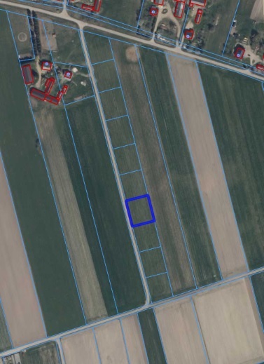 Działka budowlana 1335&nbsp;m², Czerwone - zdjęcie 8