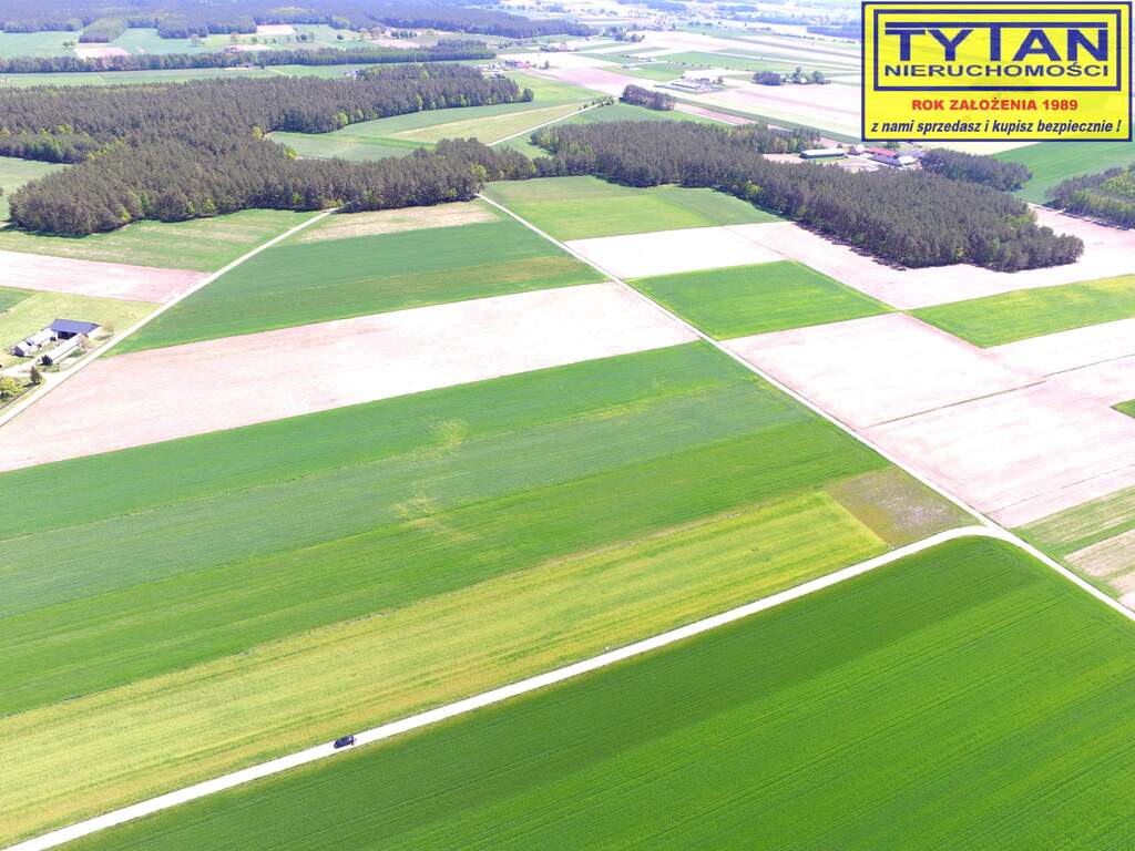 Działka budowlana 1335&nbsp;m², Czerwone - zdjęcie 6
