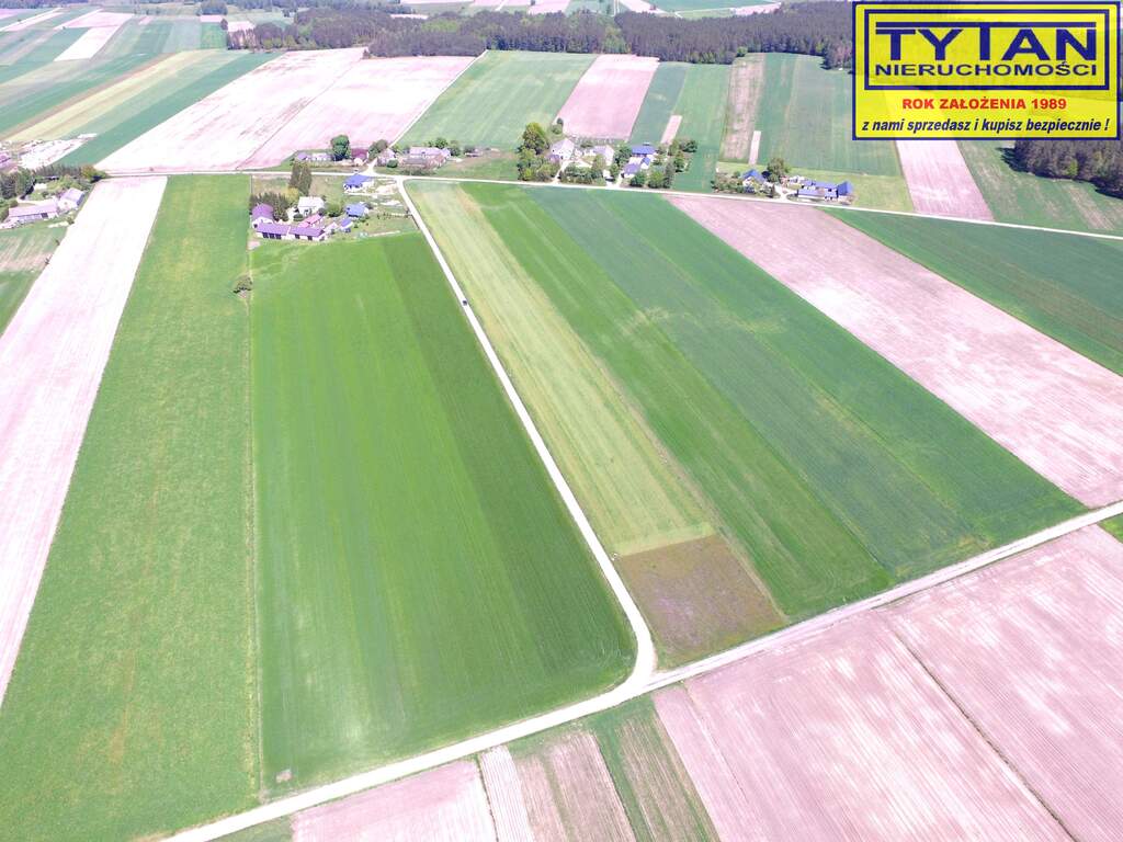Działka budowlana 1335&nbsp;m², Czerwone - zdjęcie 5