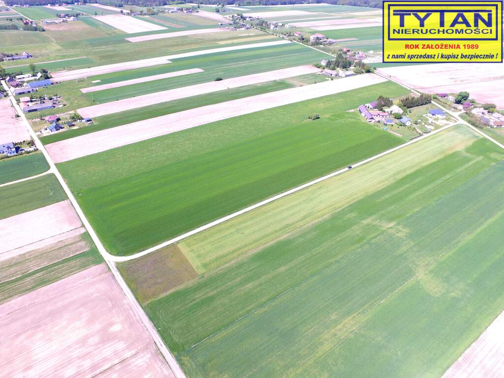 Działka budowlana 1335&nbsp;m², Czerwone - zdjęcie 4