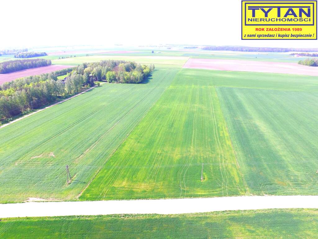 Działka rolna 1,27&nbsp;ha, Truszki - zdjęcie 4
