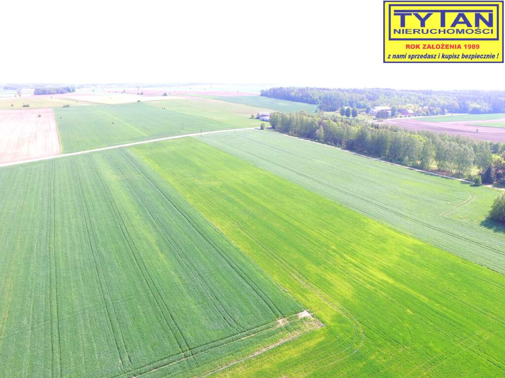Działka rolna 1,27&nbsp;ha, Truszki - zdjęcie 7