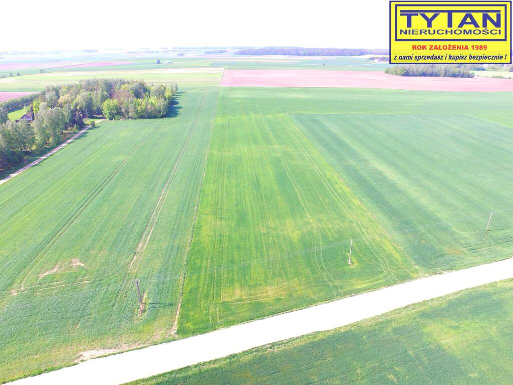 Działka rolna 1,27&nbsp;ha, Truszki - zdjęcie 2