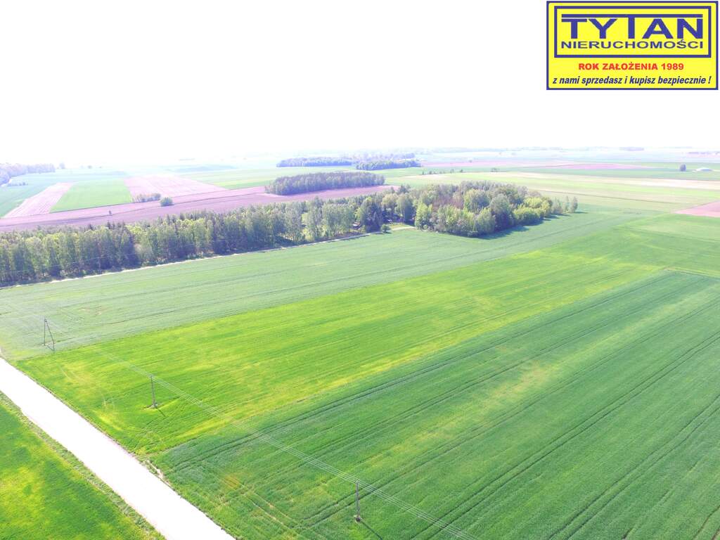Działka rolna 1,27&nbsp;ha, Truszki - zdjęcie 6