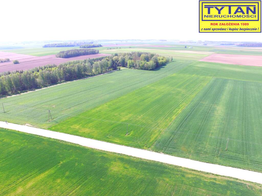 Działka rolna 1,27&nbsp;ha, Truszki - zdjęcie 5