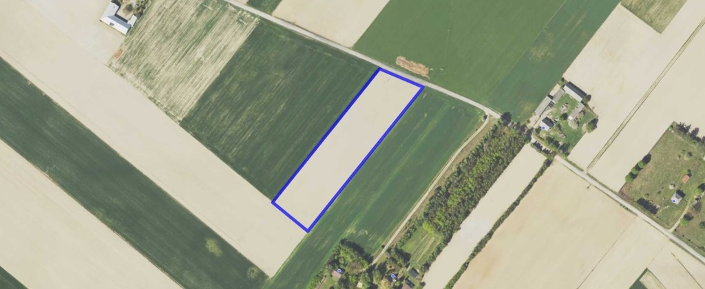 Działka rolna 1,27&nbsp;ha, Truszki - zdjęcie 8
