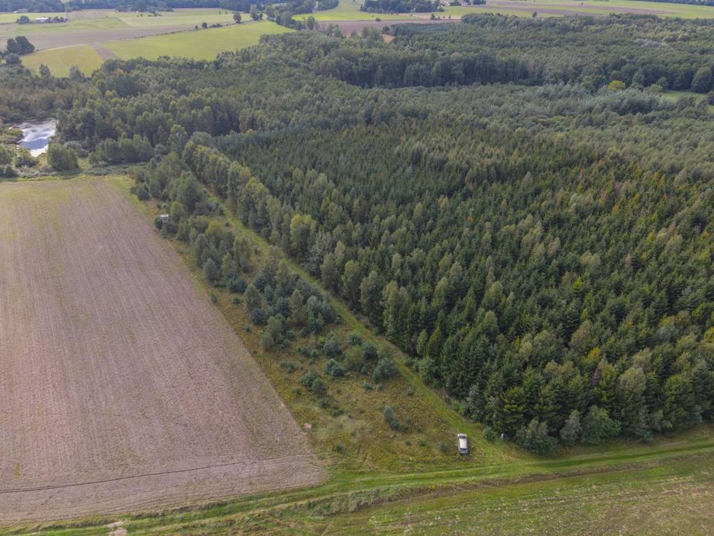 Działka rolna 5000&nbsp;m², Białogórzyno - zdjęcie 9