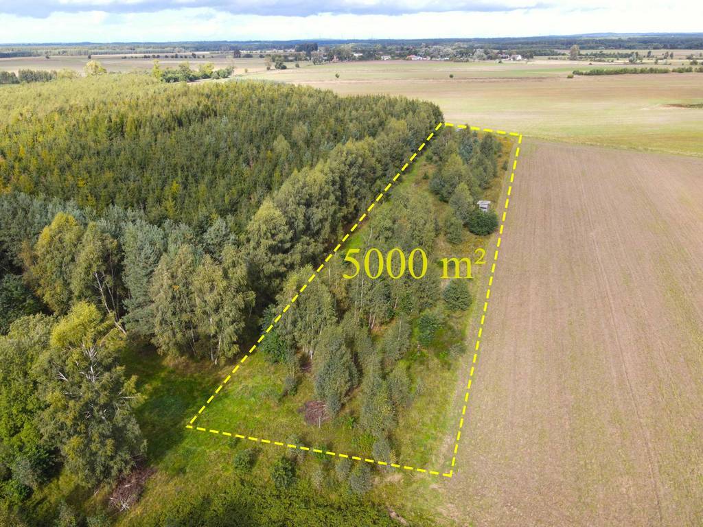 Działka rolna 5000&nbsp;m², Białogórzyno - zdjęcie 2