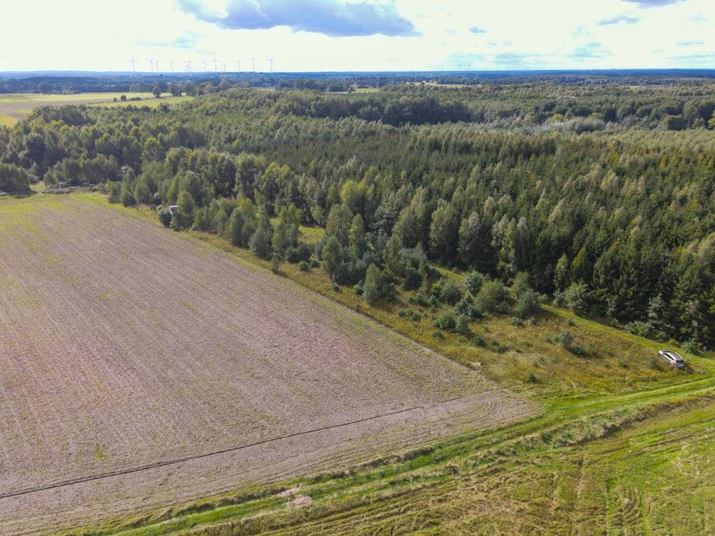Działka rolna 5000&nbsp;m², Białogórzyno - zdjęcie 10