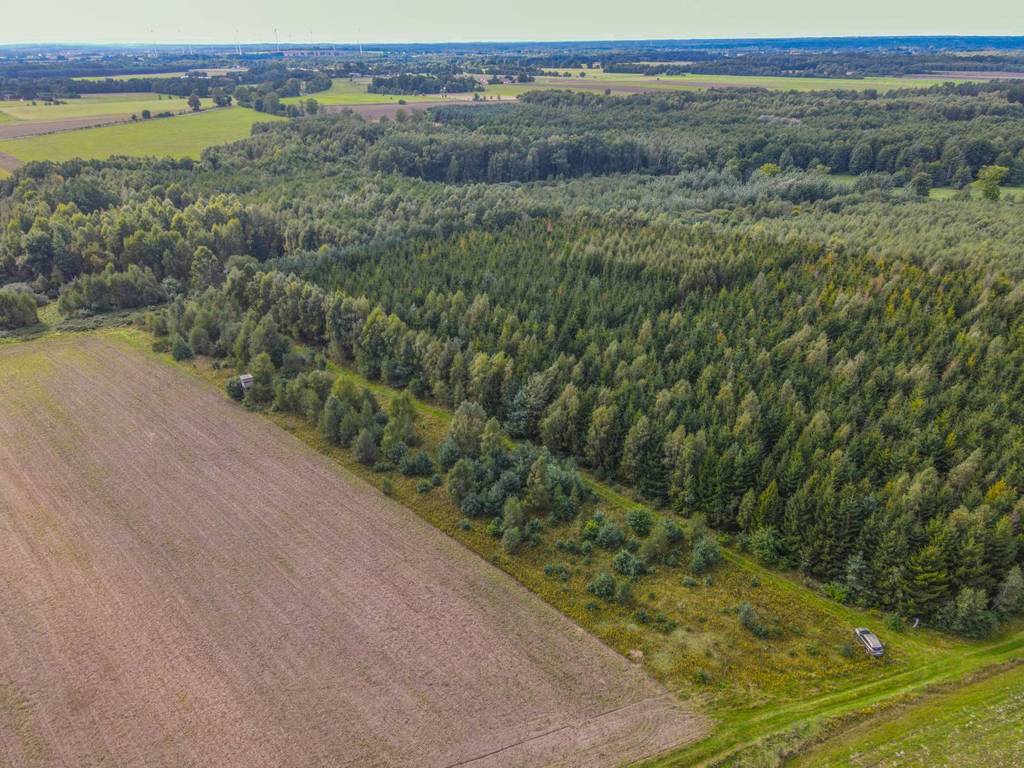 Działka rolna 5000&nbsp;m², Białogórzyno - zdjęcie 8