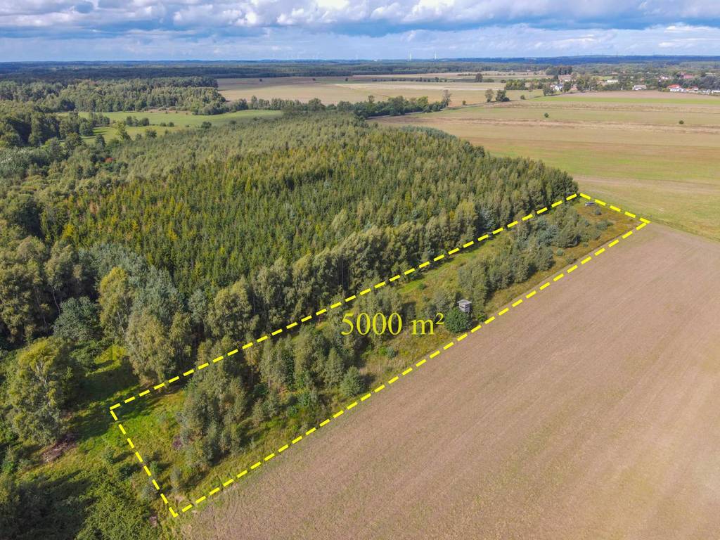 Działka rolna 5000&nbsp;m², Białogórzyno - zdjęcie 1