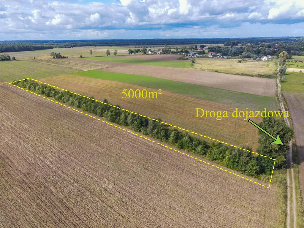 Działka rolna 5000&nbsp;m², Białogórzyno - zdjęcie 1
